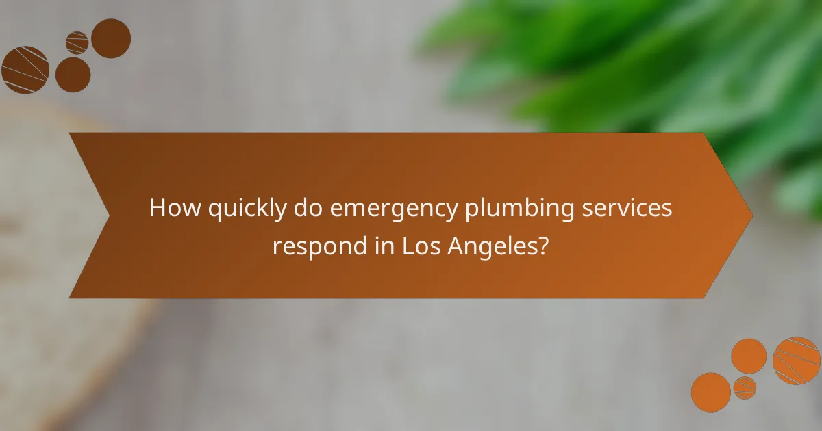 How quickly do emergency plumbing services respond in Los Angeles?
