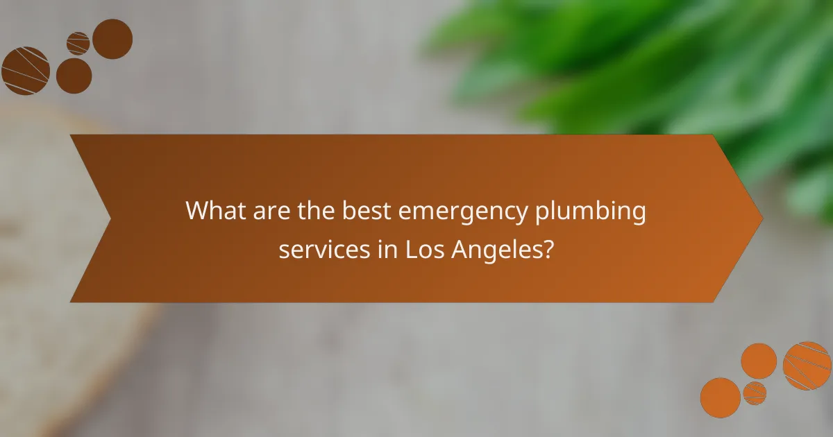 What are the best emergency plumbing services in Los Angeles?