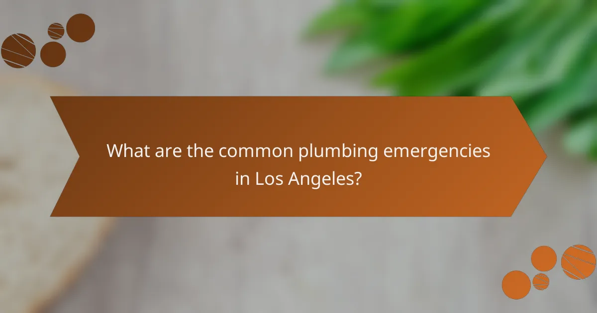 What are the common plumbing emergencies in Los Angeles?