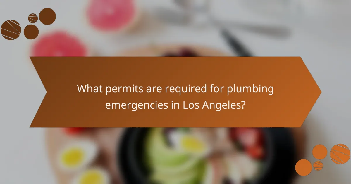 What permits are required for plumbing emergencies in Los Angeles?
