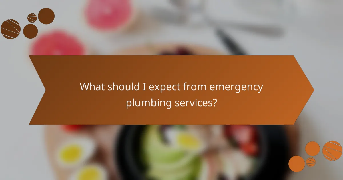 What should I expect from emergency plumbing services?