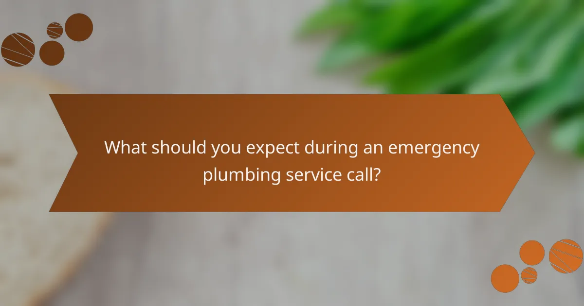 What should you expect during an emergency plumbing service call?